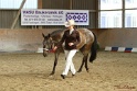 21-ApHC HMC_086
